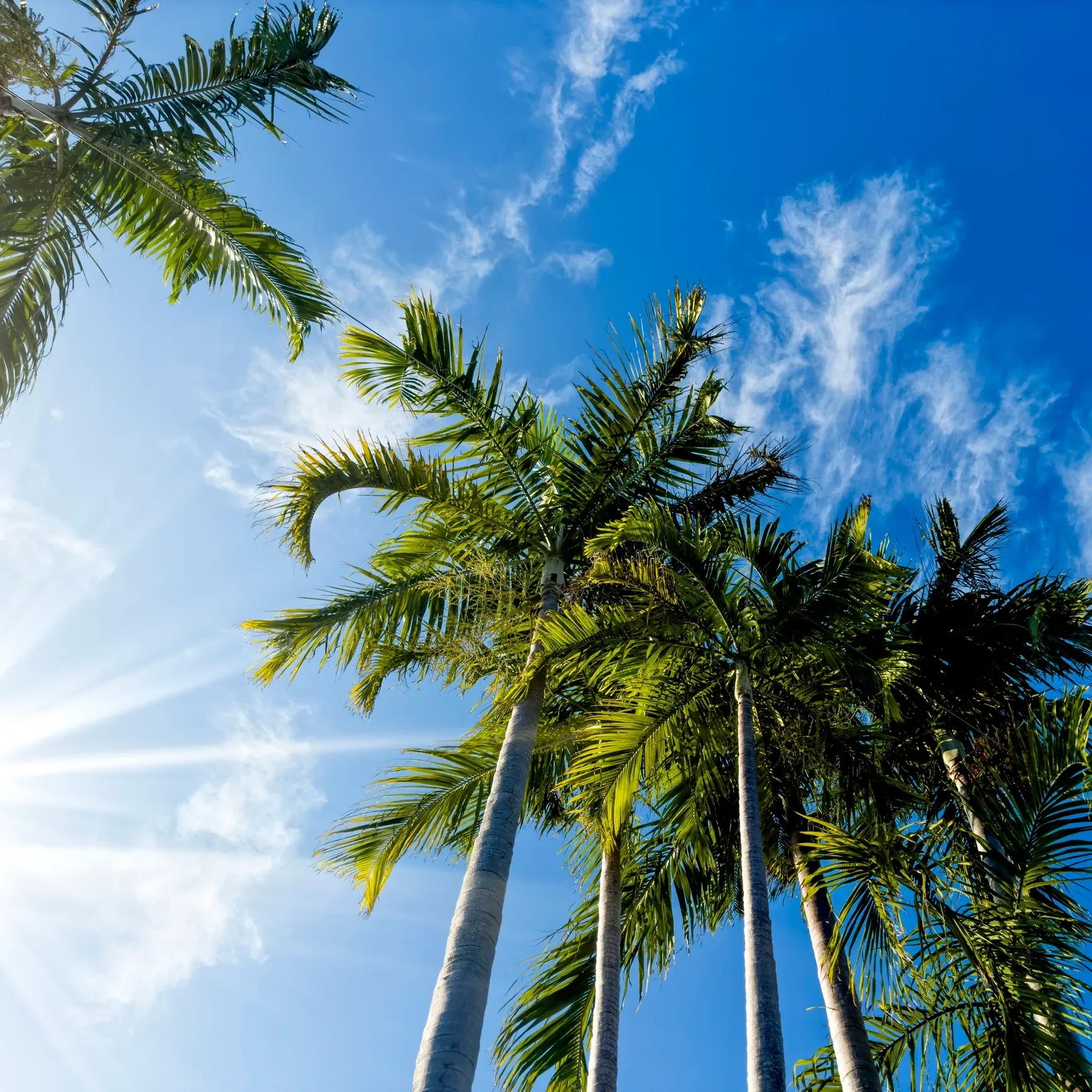 Wilton Manors, Fort Lauderdale neighborhood